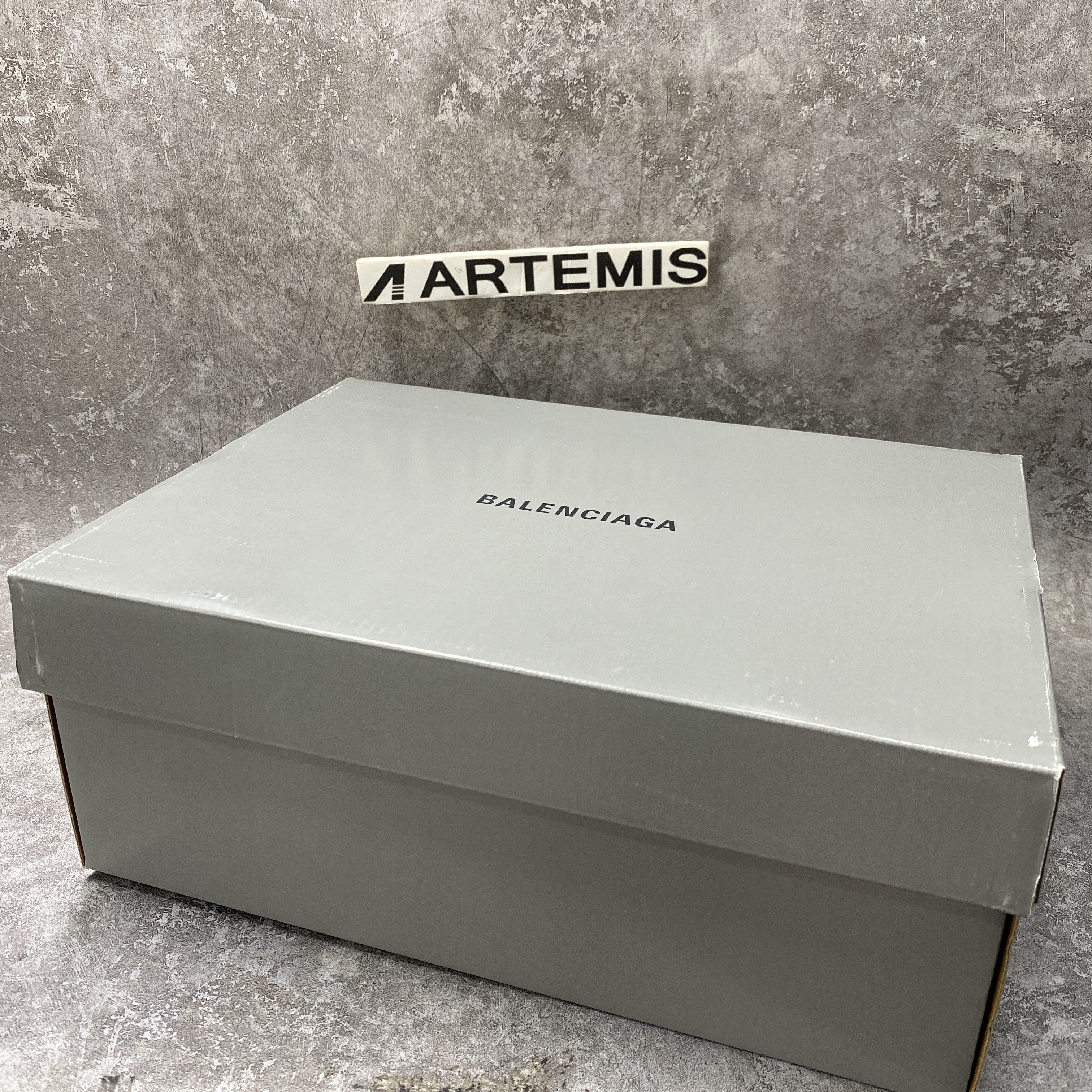 Balenciga Track Sneaker Silver Fur