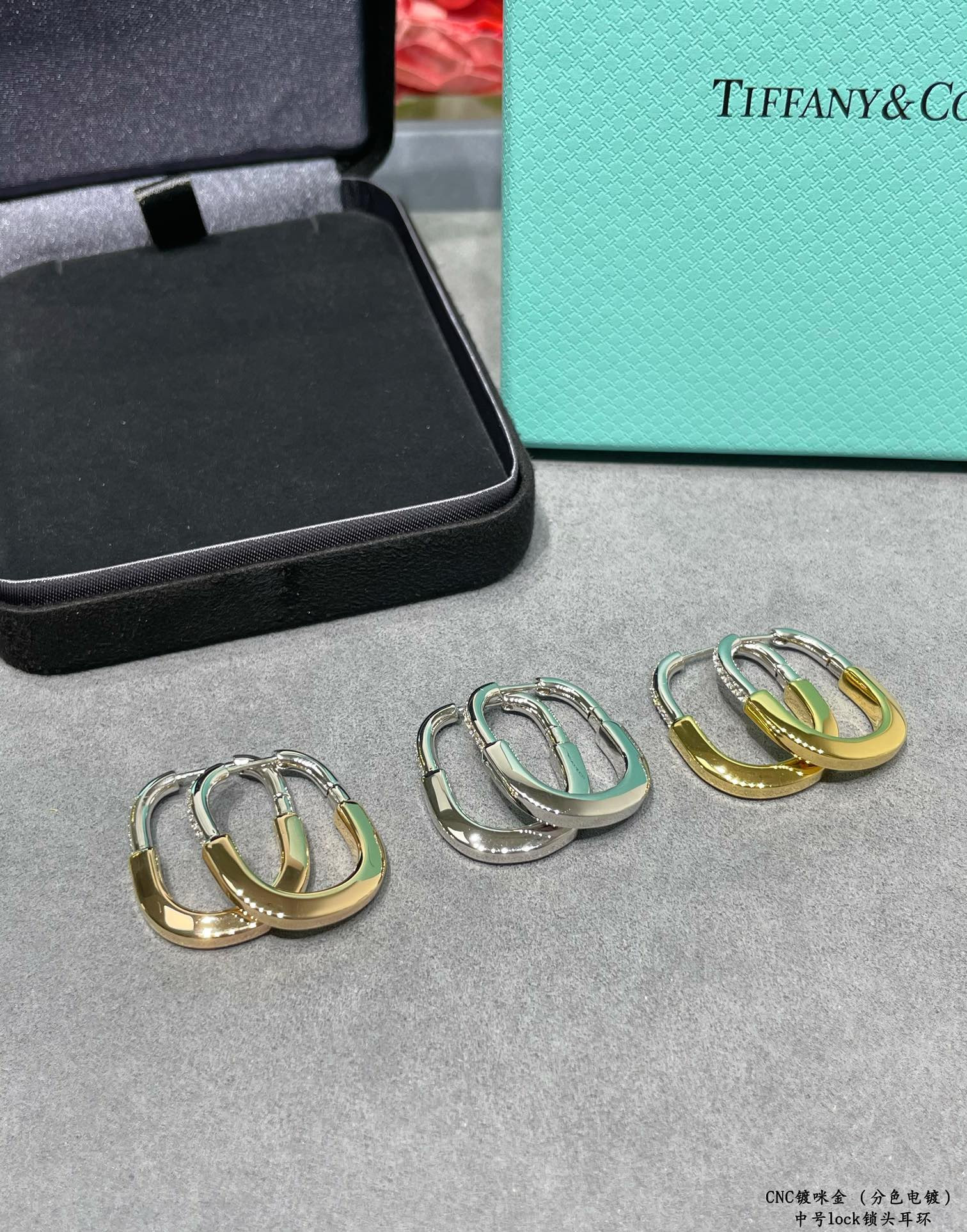 T*f*ny & Co. Medium Lock Earrings