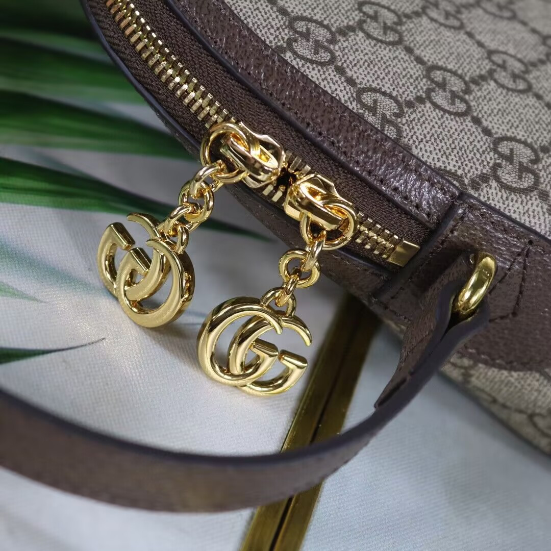 G*u*i GG Ophidia bag