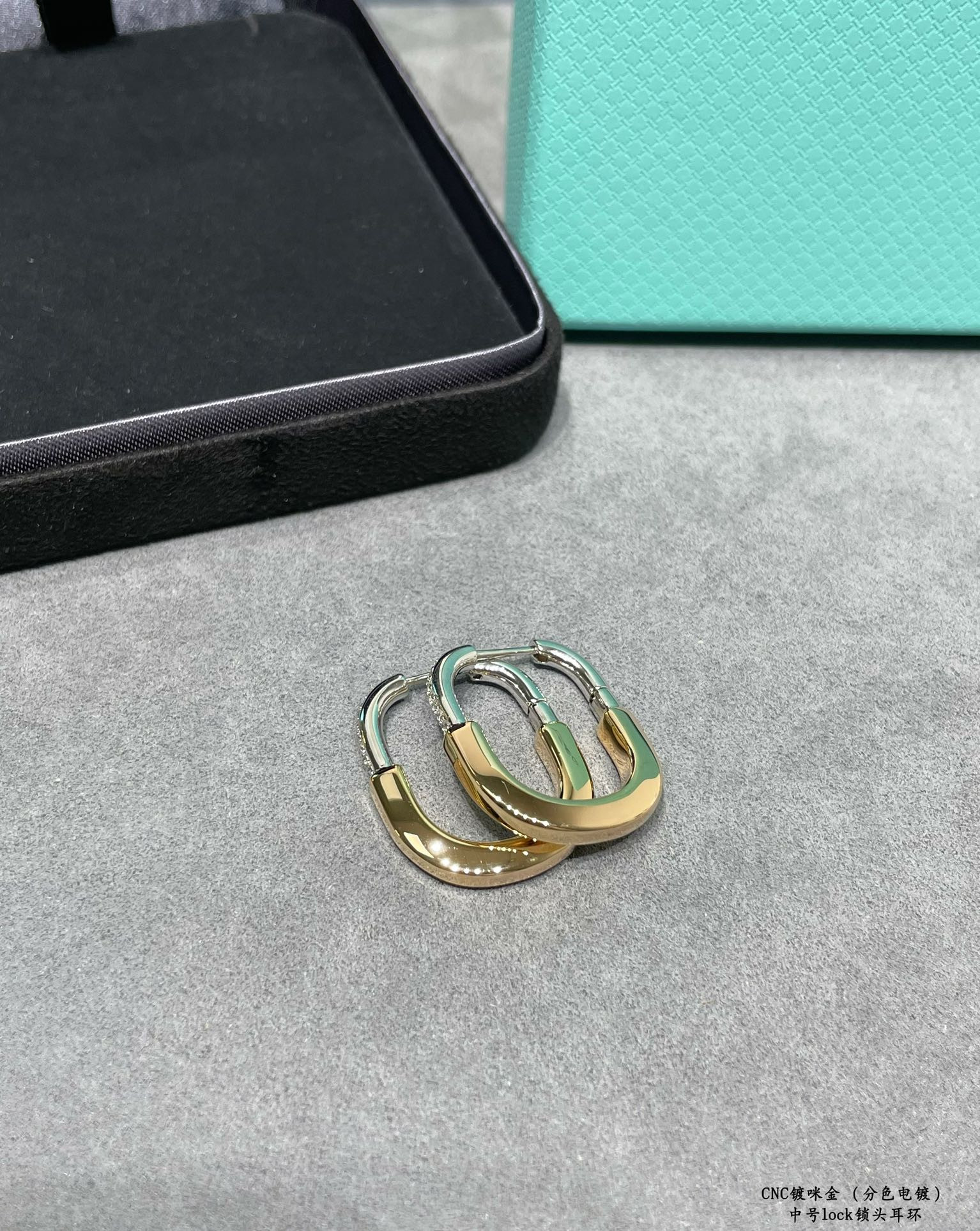 T*f*ny & Co. Medium Lock Earrings