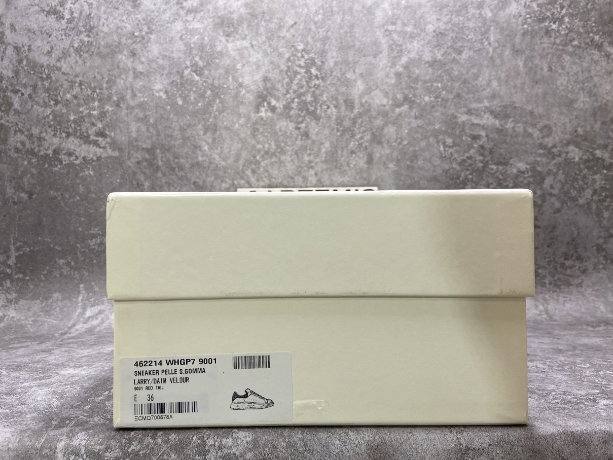 Ale*d*r M*Q*en Oversized Embroidery Red